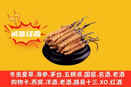 山南市错那县回收冬虫夏草